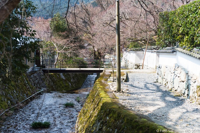 20150313_115619 D4S.jpg - Sanzen-in Temple, Kyoto Prefecture.